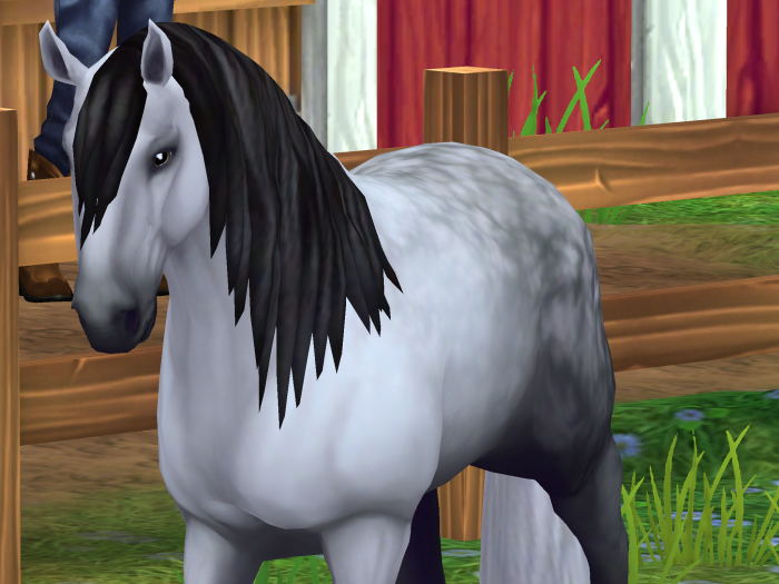 Photo de profil de jajahorse6