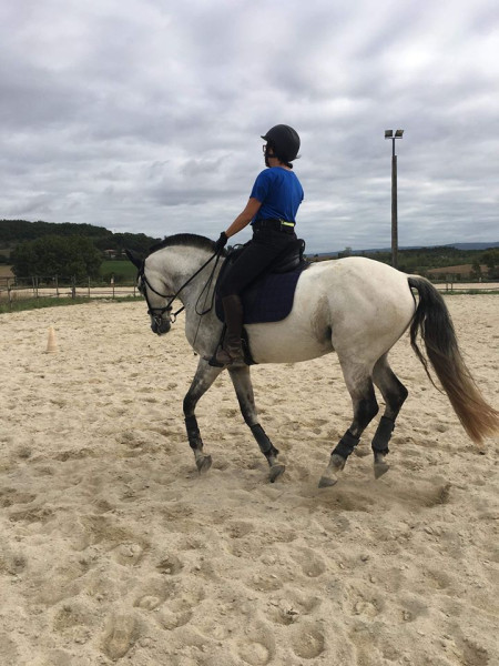 Photo de profil de jalaiko