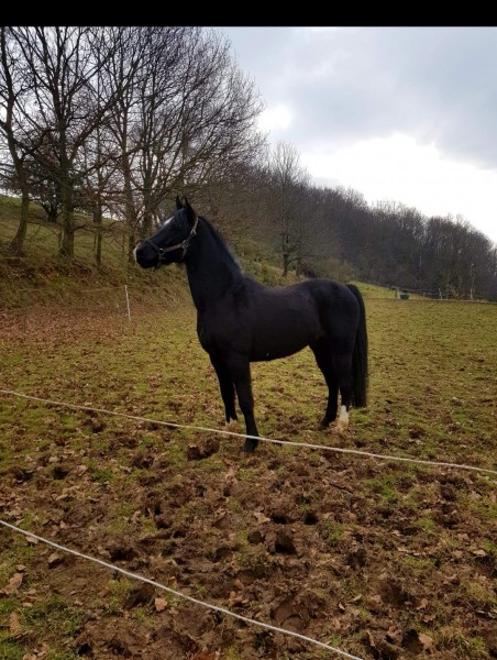 Photo de profil de jallba76