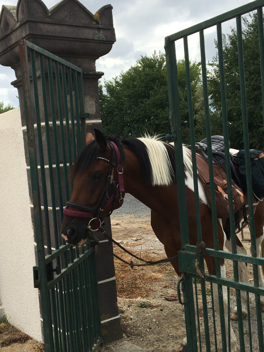 Photo de profil de janakatrin004