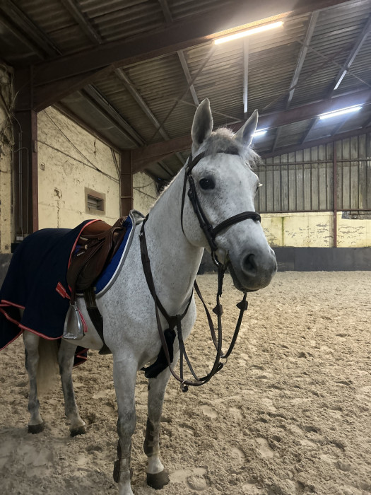 Photo de profil de jas.stmr