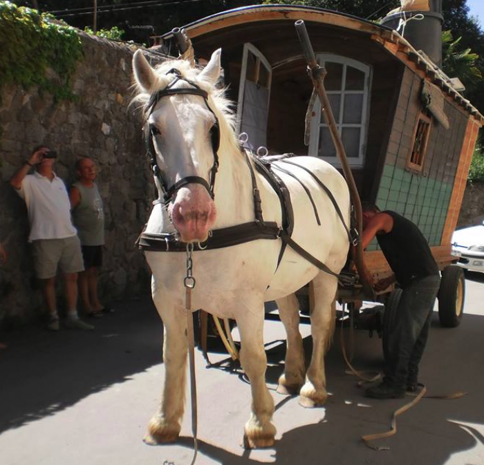 Photo de profil de jazzetjuan