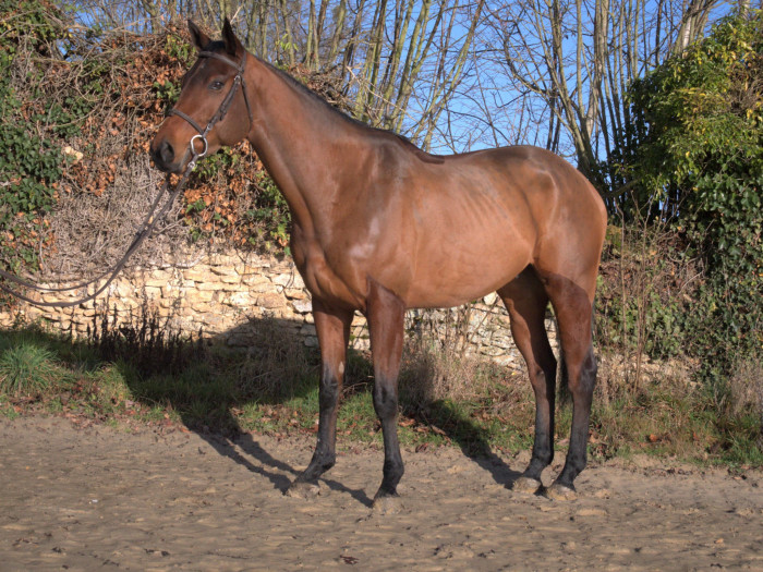 Photo de profil de jbl1