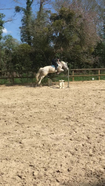 Photo de profil de j_ea_nn_e