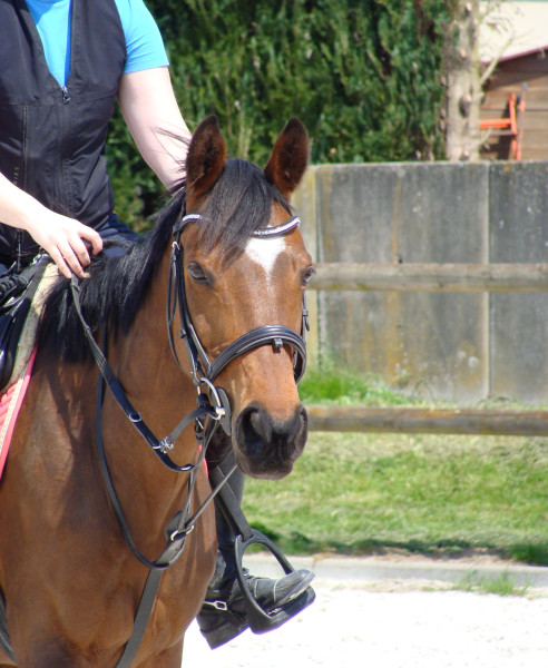 Photo de profil de jeanne80