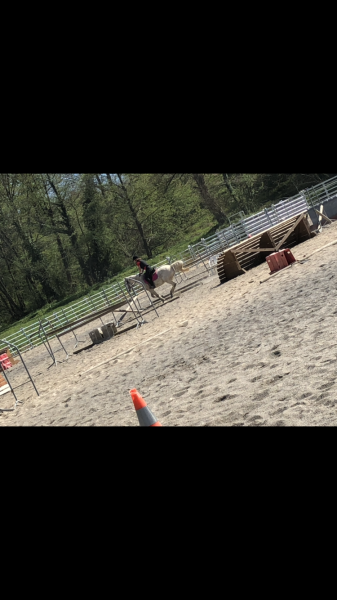 Photo de profil de jeannechrt