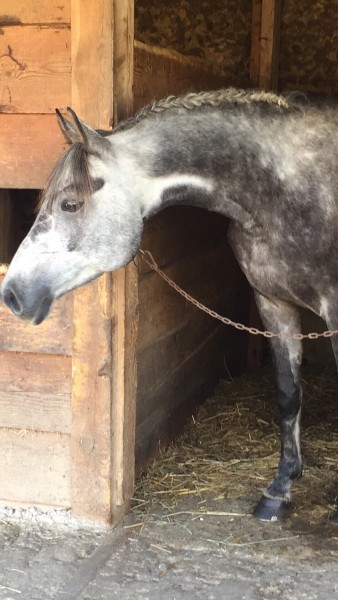 Photo de profil de jeannegogo