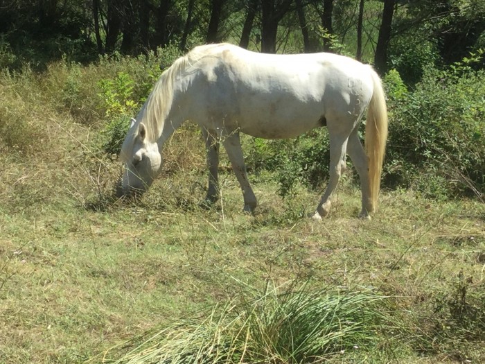 Photo de profil de jeannel027