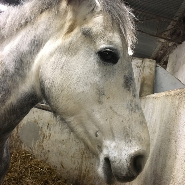 Photo de profil de jeannelouis