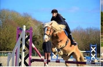 Photo de profil de jennifergirard