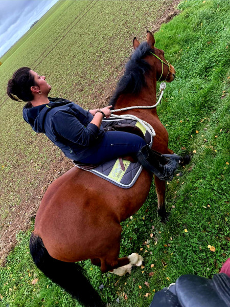 Photo de profil de jericho21