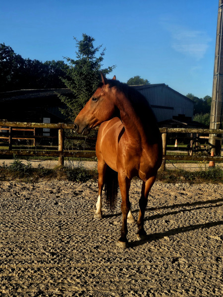 Photo de profil de jericho21