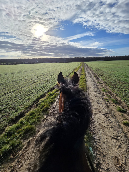 Photo de profil de jericho21