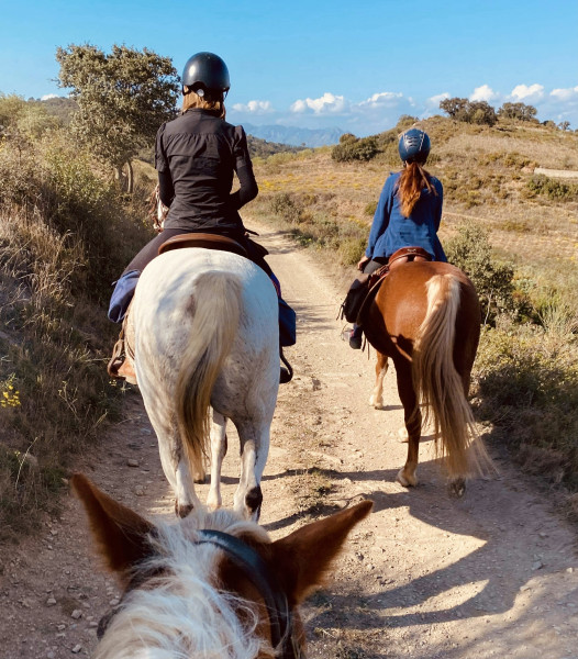 Photo de profil de jess6636