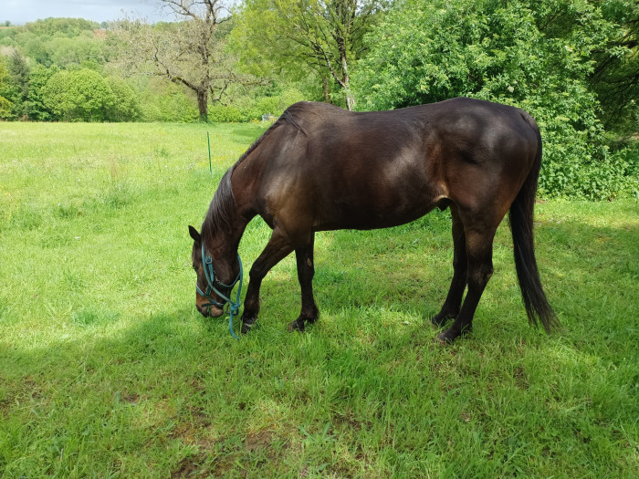 Photo de profil de jessica16310