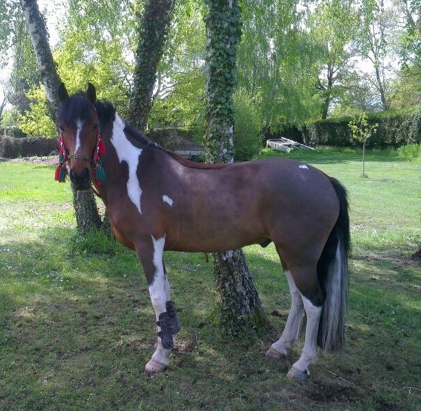 Photo de profil de jessica_brb