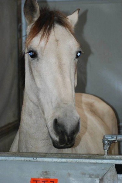 Photo de profil de jetcherche