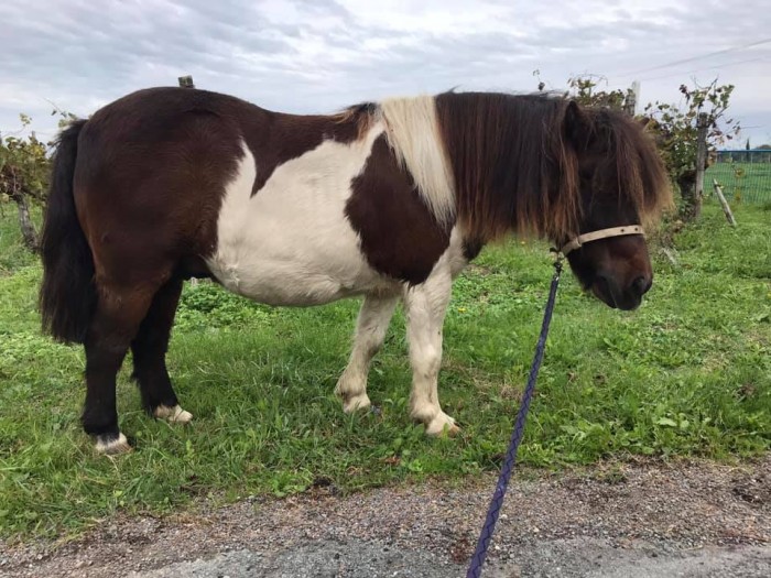 Photo de profil de jiam512