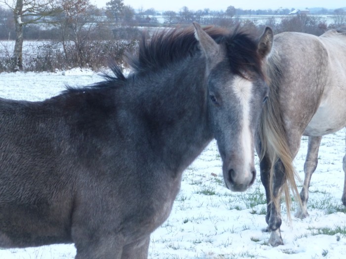 Photo de profil de jlcar