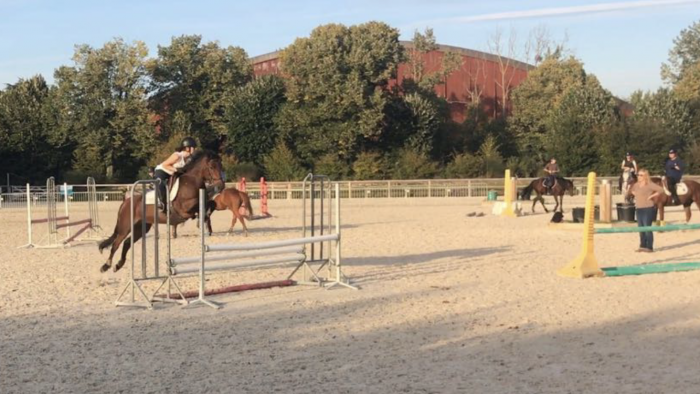 Photo de profil de jloveponey