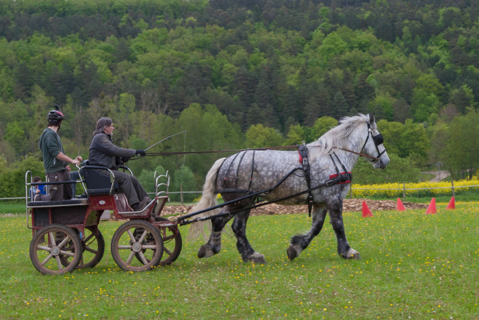 Photo de profil de jmm10