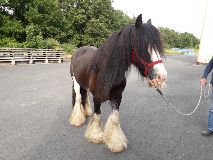 Photo de profil de joe79