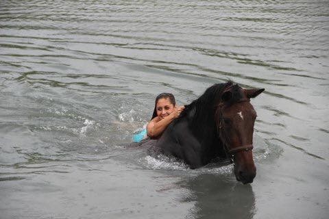 Photo de profil de joehaluska