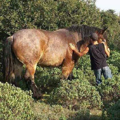 Photo de profil de joel30