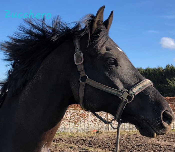 Photo de profil de jofre