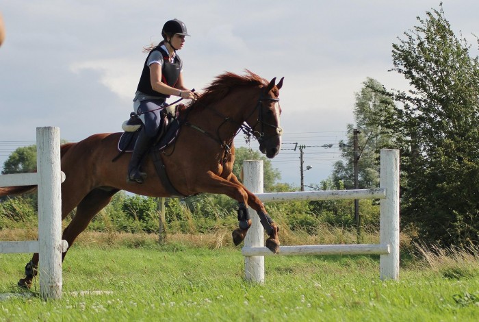 Photo de profil de joh_anna