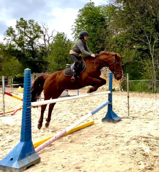 Photo de profil de jojo3000