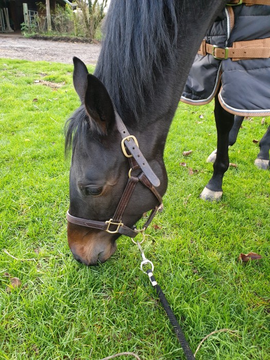 Photo de profil de jonf59