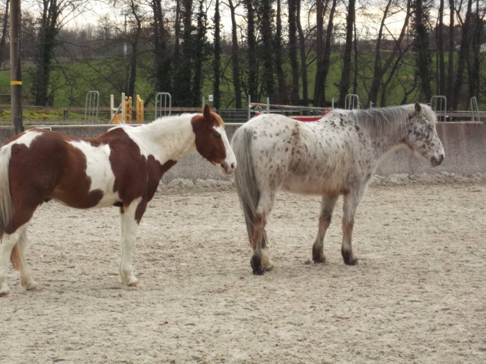 Photo de profil de jouille51