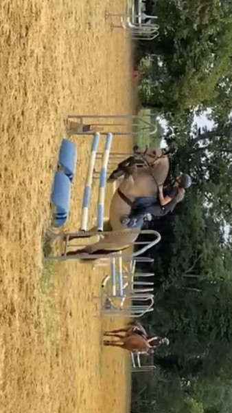 Photo de profil de j_spryt