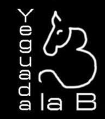 Photo de profil de juanburgos