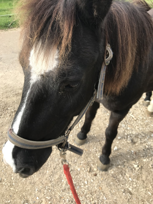 Photo de profil de jubhr