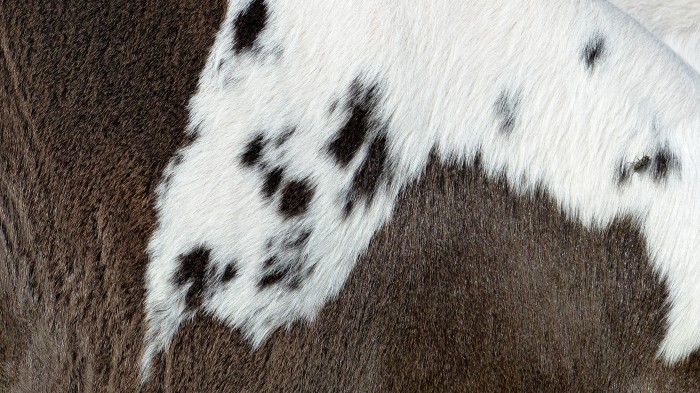 Photo de profil de juda42