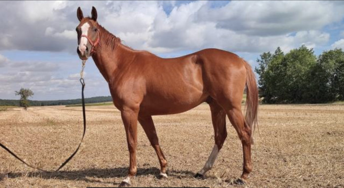 Photo de profil de juicem