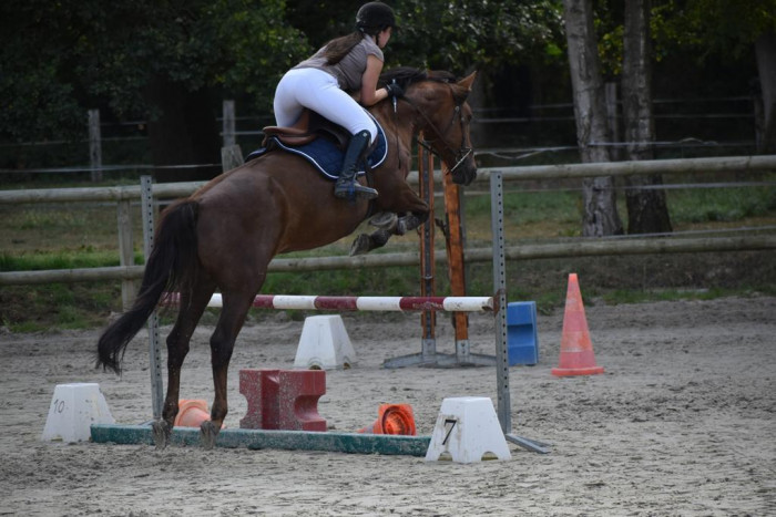 Photo de profil de juli.canonne