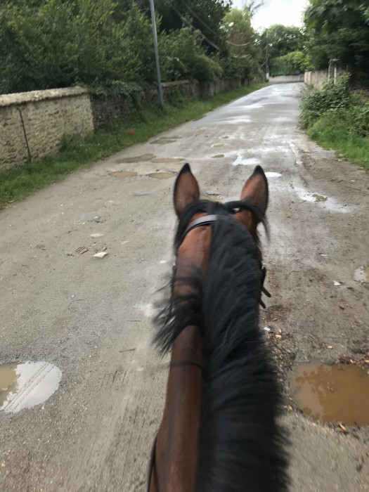 Photo de profil de juliemart1