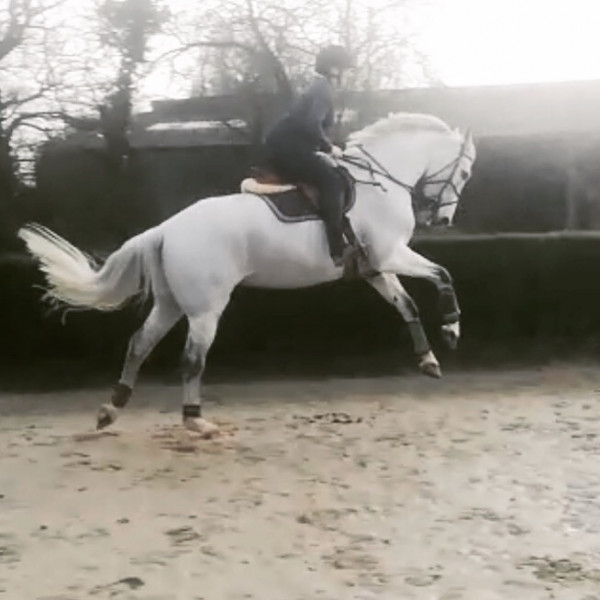 Photo de profil de juliemcbrunet