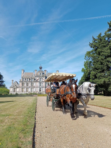 Photo de profil de julienp27