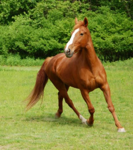Photo de profil de jultazia