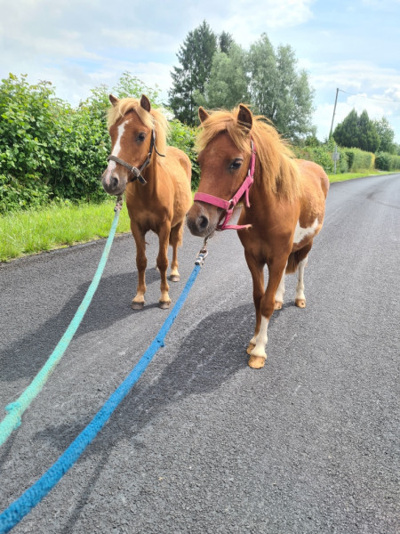 Photo de profil de julutine