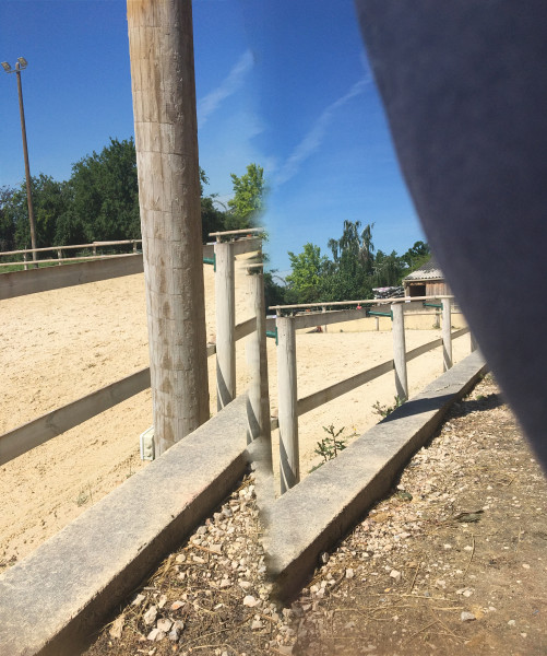 Photo de profil de julysse