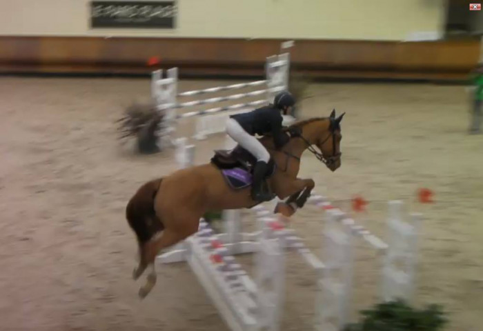 Photo de profil de jumanjimarine