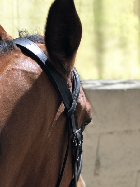 Photo de profil de jumc