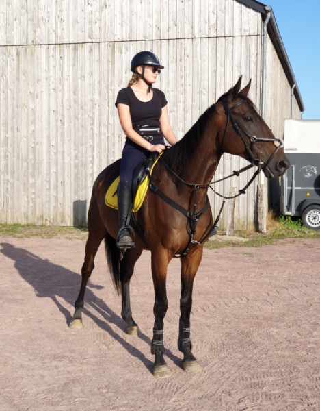 Photo de profil de juniorlovel