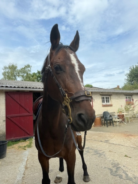 Photo de profil de justgino