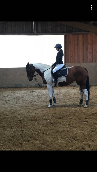 Photo de profil de justhorse